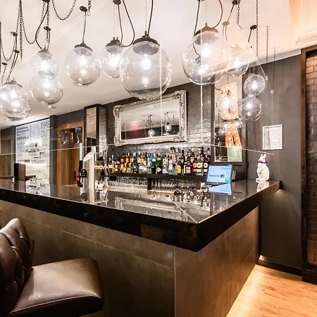 Premier Weisser Hase