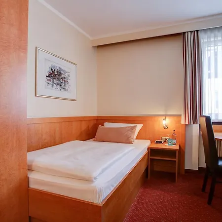 Premier Weisser Hase