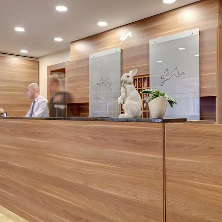 Premier Weisser Hase Passau