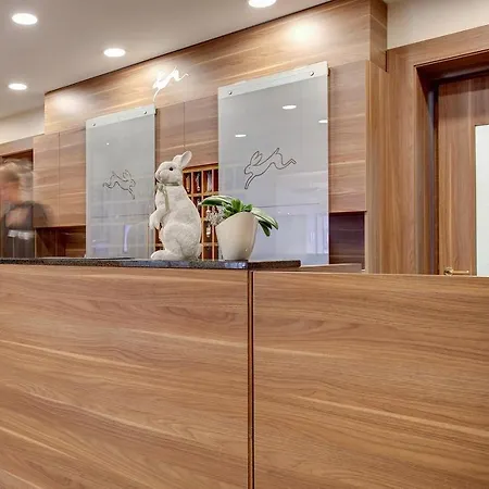 Premier Weisser Hase Hotel 3*