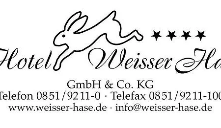 Premier Weisser Hase Passau