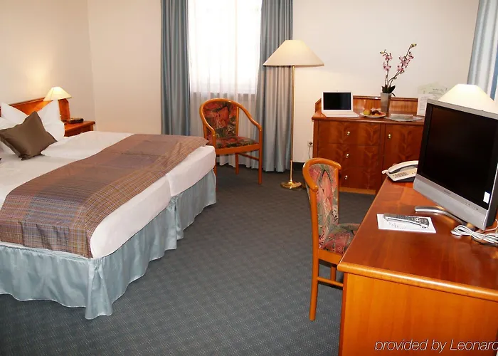 Premier Weisser Hase פסאו