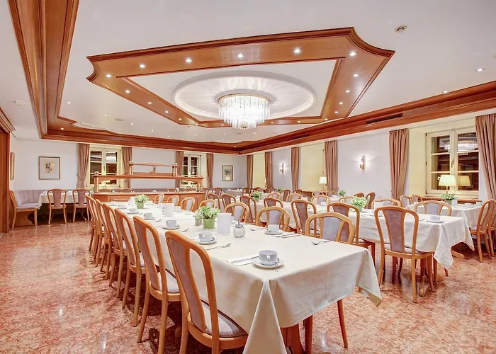 Premier Weisser Hase